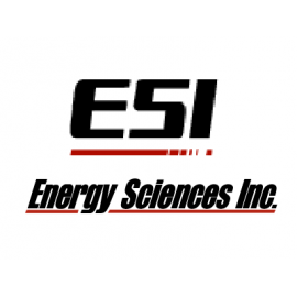 Logo ESI